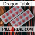 Dragon Tablet 19